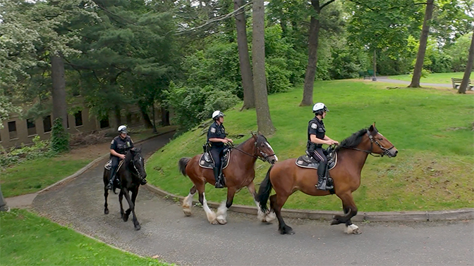 Three Waterbury police officers riding horses down a paved path in a park