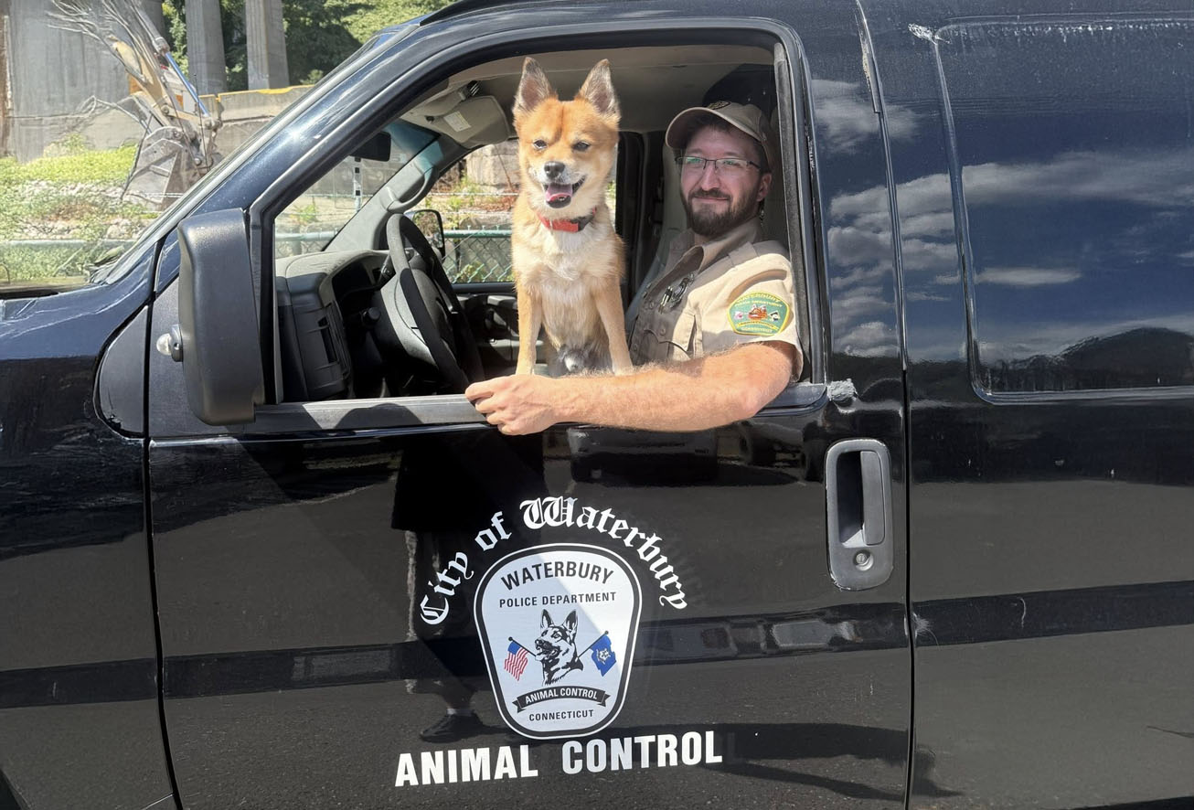 City of Waterbury Animal Control officer sitting in a black van with a small dog looking out the driver's side window